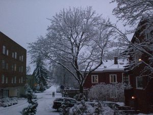 hiver2