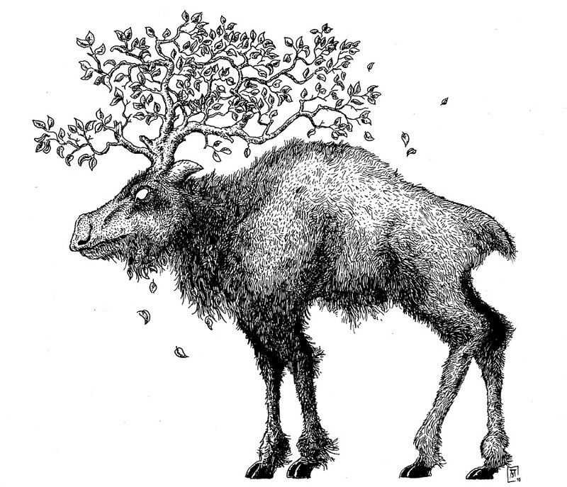 alcesulmus
