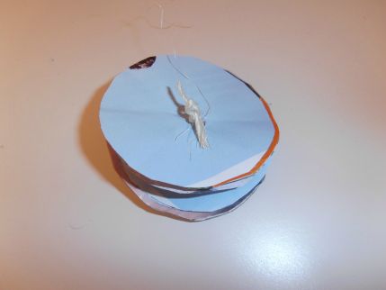 jouetdepatte (10)