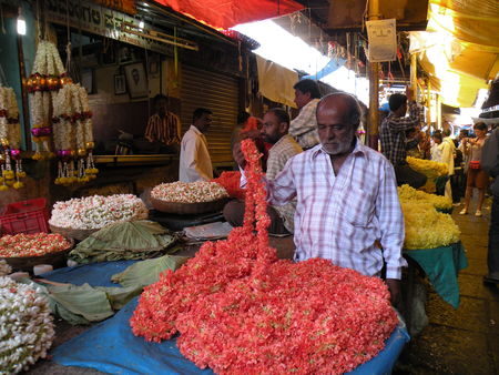Mysore___Calicut___arriv_e_Cochin_318
