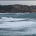 DSC07583
