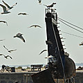 IMG_0457