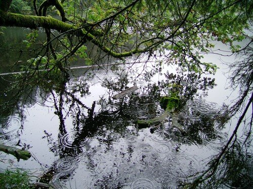 Glaswaldsee - pluie