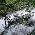 Glaswaldsee - pluie