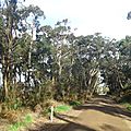 DSC09642