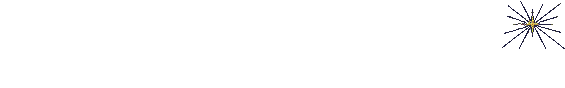 noel_224