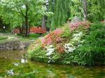 02 Jardins Albert Kahn (23)