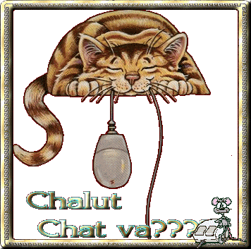 chalut-chat-va-aa7d54