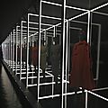 IMG_3428