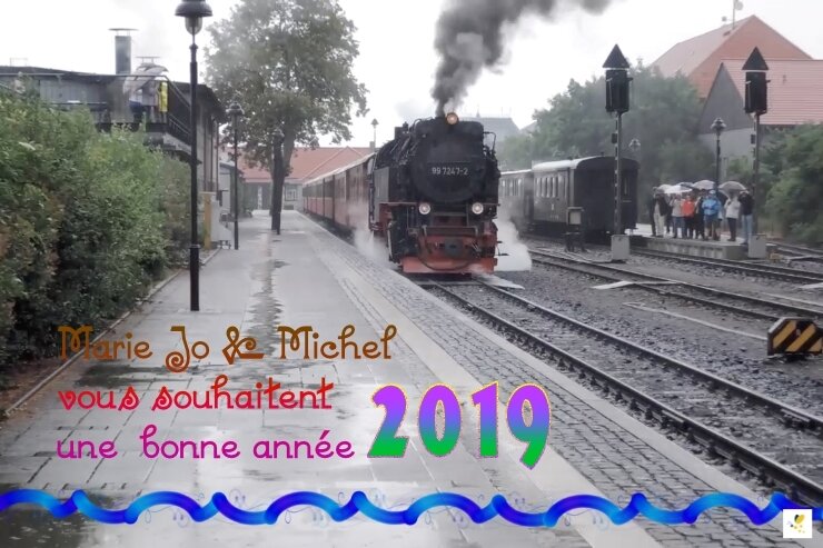 BAM2019