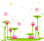 gif_229
