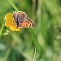IMG_4443