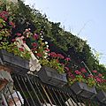 _DSC0500