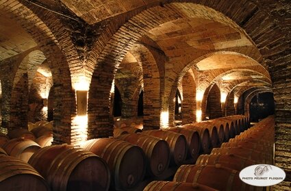 LISLE_SUR_TARN_Chateau_de_Saurs_le_chai_a_barriques_sous_le_chateau