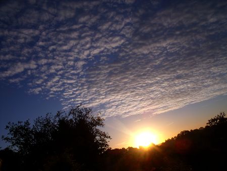 DSCF7966