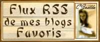 flux_rss_des_blogs_favoris_2