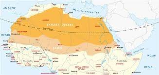 Le désert du Sahara : biodiversité, menaces, et conservation - Conservation Nature