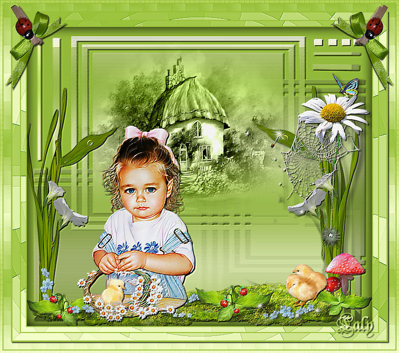 laly33