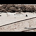 DSC09162