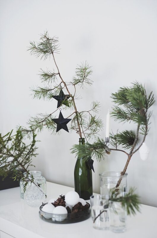 sapins