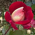 WP_20160705_004