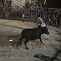 IMG_6506