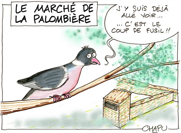 26-Palombiere