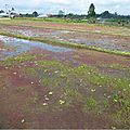 P1050236bis