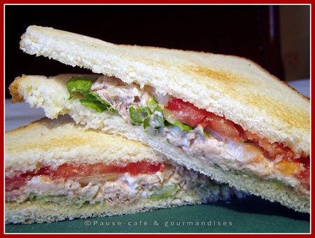 sandwich__17_