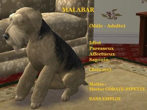 MALABAR