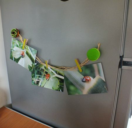 magnets porte photos - stephaniebricole - photo finale