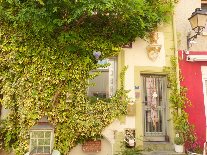 P1660185