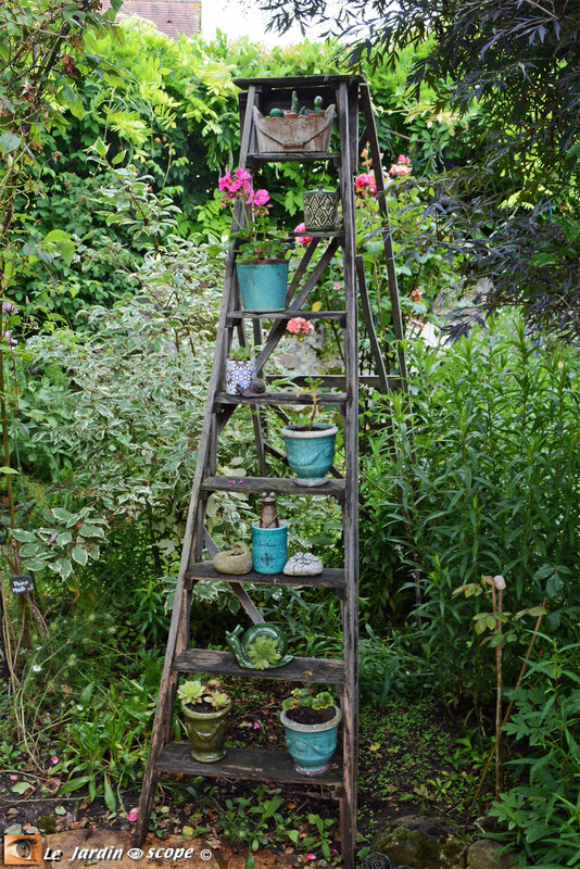 PAT_7526-Petit-jardin-de-St-Fiacre