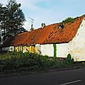 IMGP0397