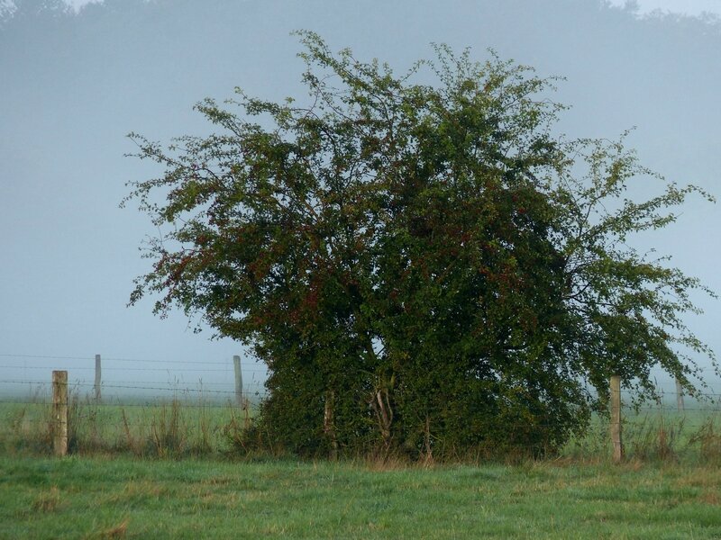 P1320199