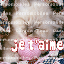 30739_3000_JETAIME