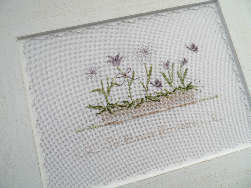 pétillantes floraisons 1703