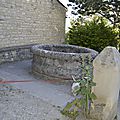 _DSC0008