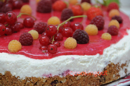cheese_cake_rouge_d_tail