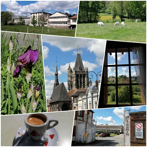 PhotoCollage_1622196040041[26370]