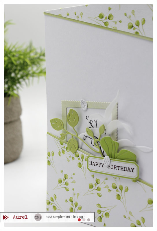 06 - 120622 - Carte Happy Birthday - Monochrome par Amélie #3