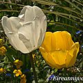 DSC04314