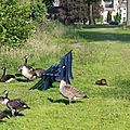 IMG_6387