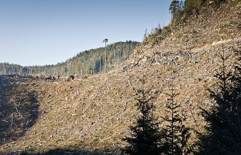 GR_G4000_Mountain_Face-2