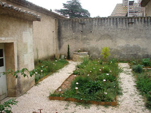 Chartreuse_de_Valbonne__55_