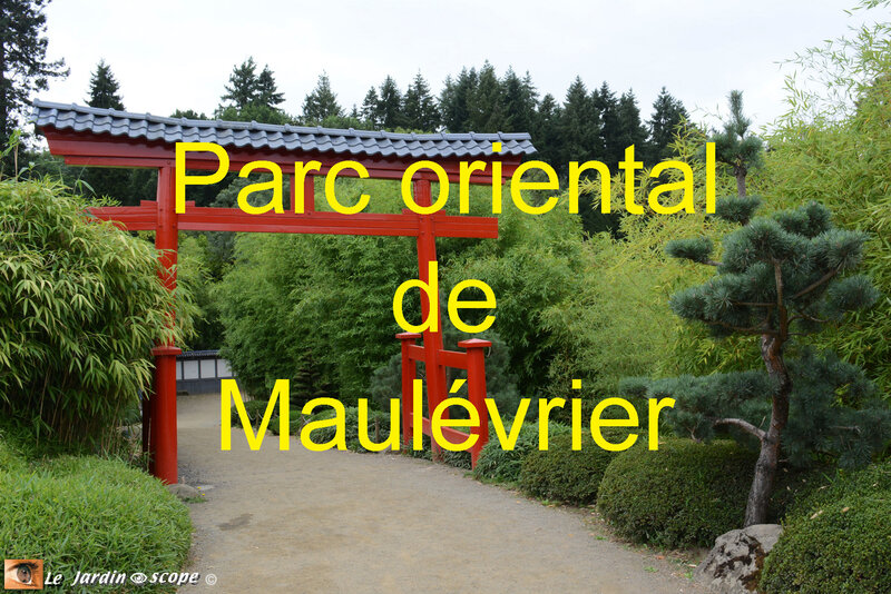 PAT_0906 Parc Oriental de Maulévrier