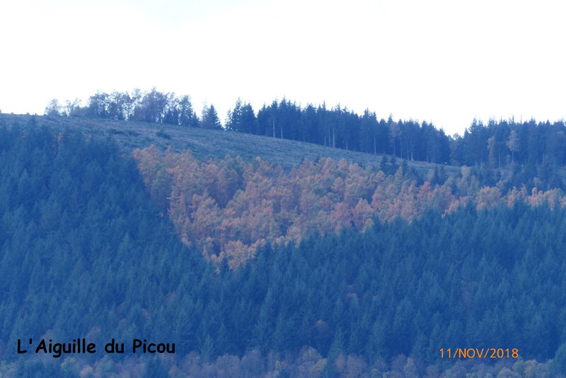 P1040179