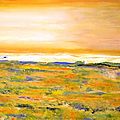 Shimmering Fields