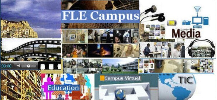 imagFLEcAMPUS