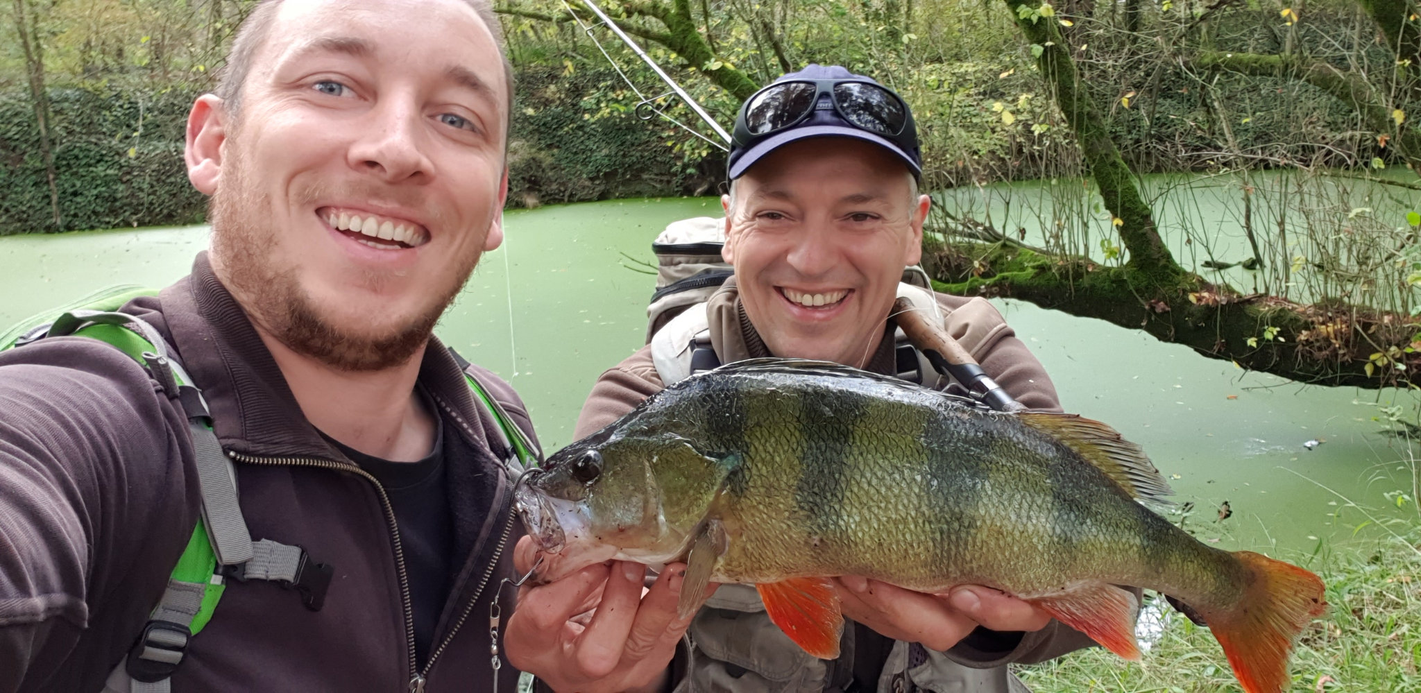 Grosses perches d'automne : misez sur une pêche incitative ! - DPSG